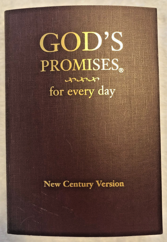 God's Promises for Every Day: Bible Verses for All Seasons of Life - New