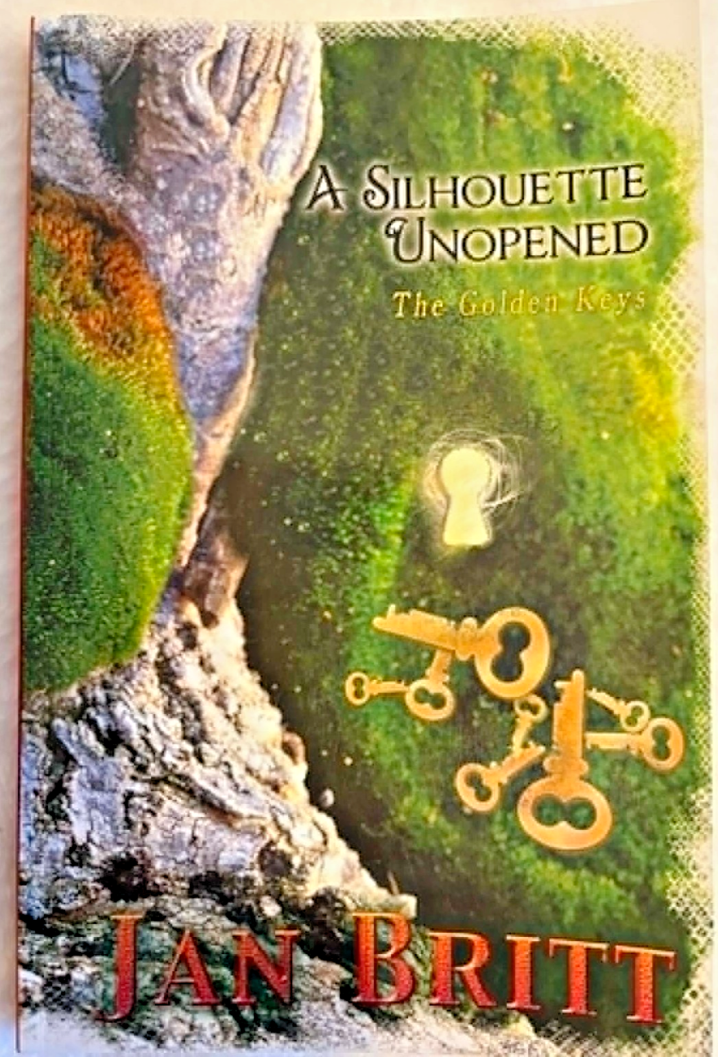 A Silhouette Unopened: The Golden Keys - Paperback - Excellent Condition