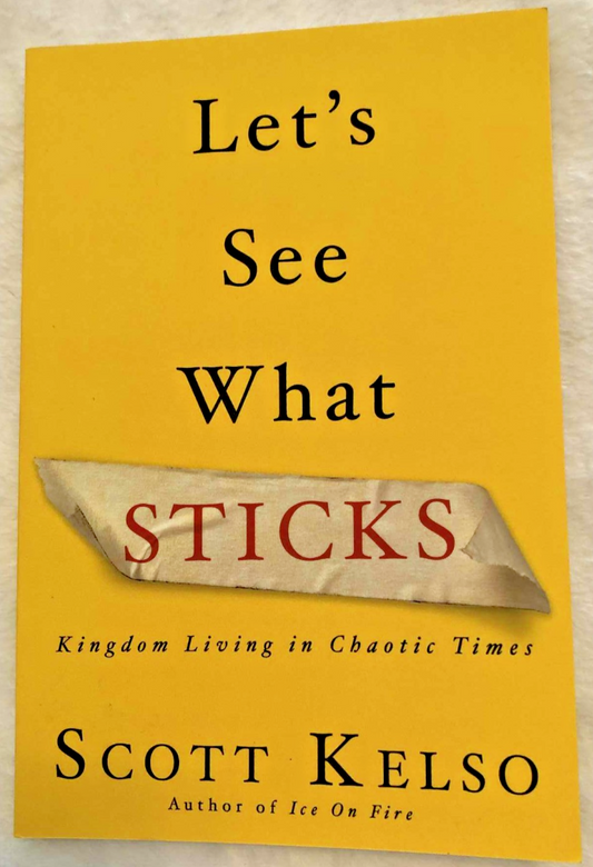 Let's See What Sticks Paperback - Like New