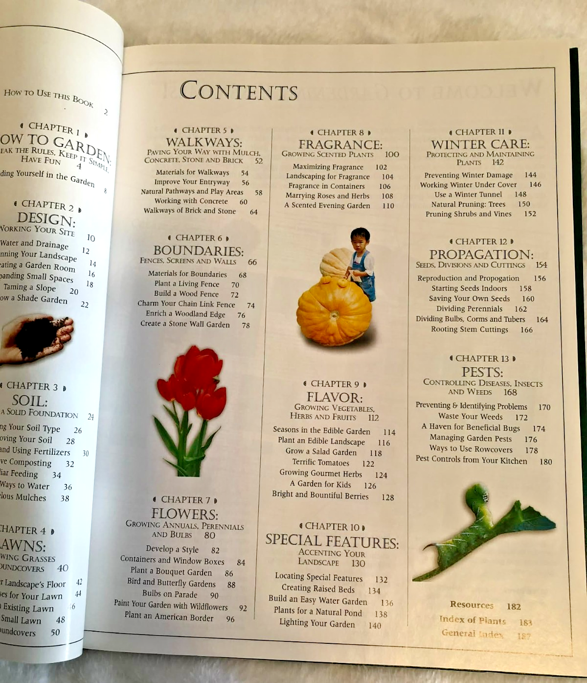 Gardening essentials (Complete gardener's library) - Like New