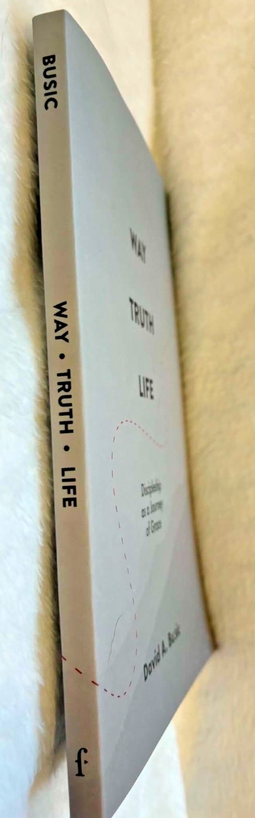 Way, Truth, Life: Discipleship as a Journey of Grace - Paperback - Like New