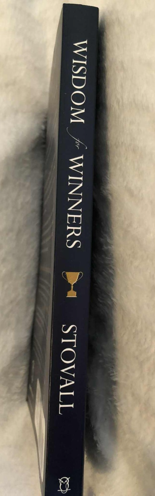 Wisdom for Winners Volume One: A Millionaire Mindset Paperback - Like  New
