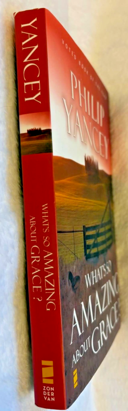 What's So Amazing About Grace? - Paperback - Excellent Condition
