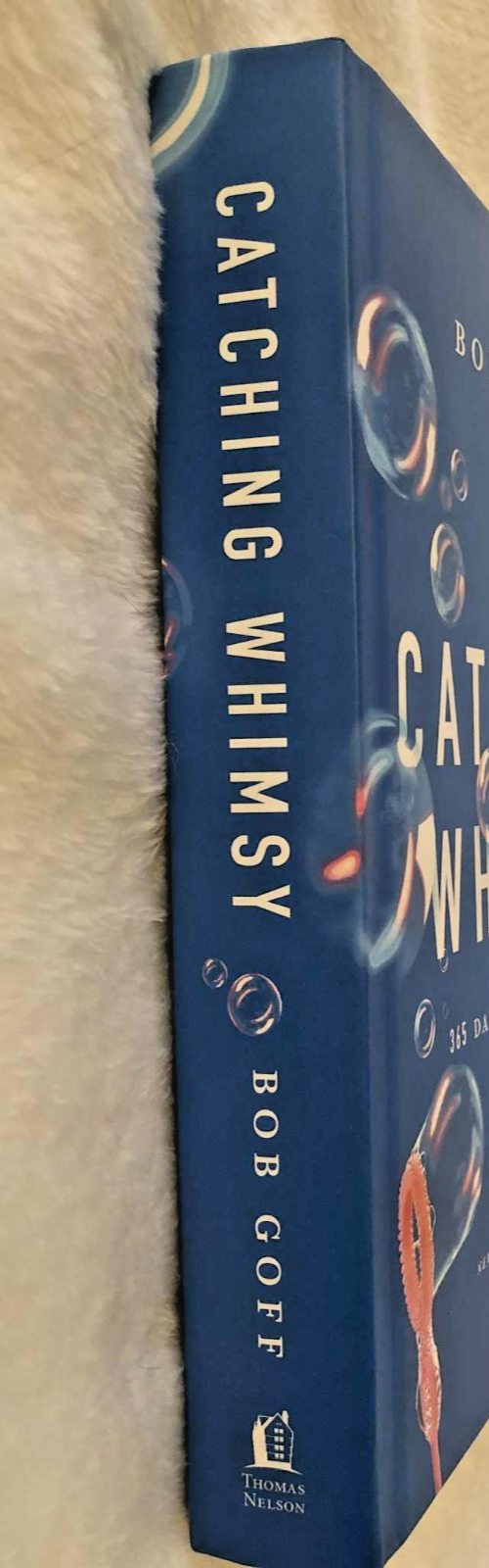 Catching Whimsy: 365 Days of Possibility (A Daily Devotional) Hardback- Like New