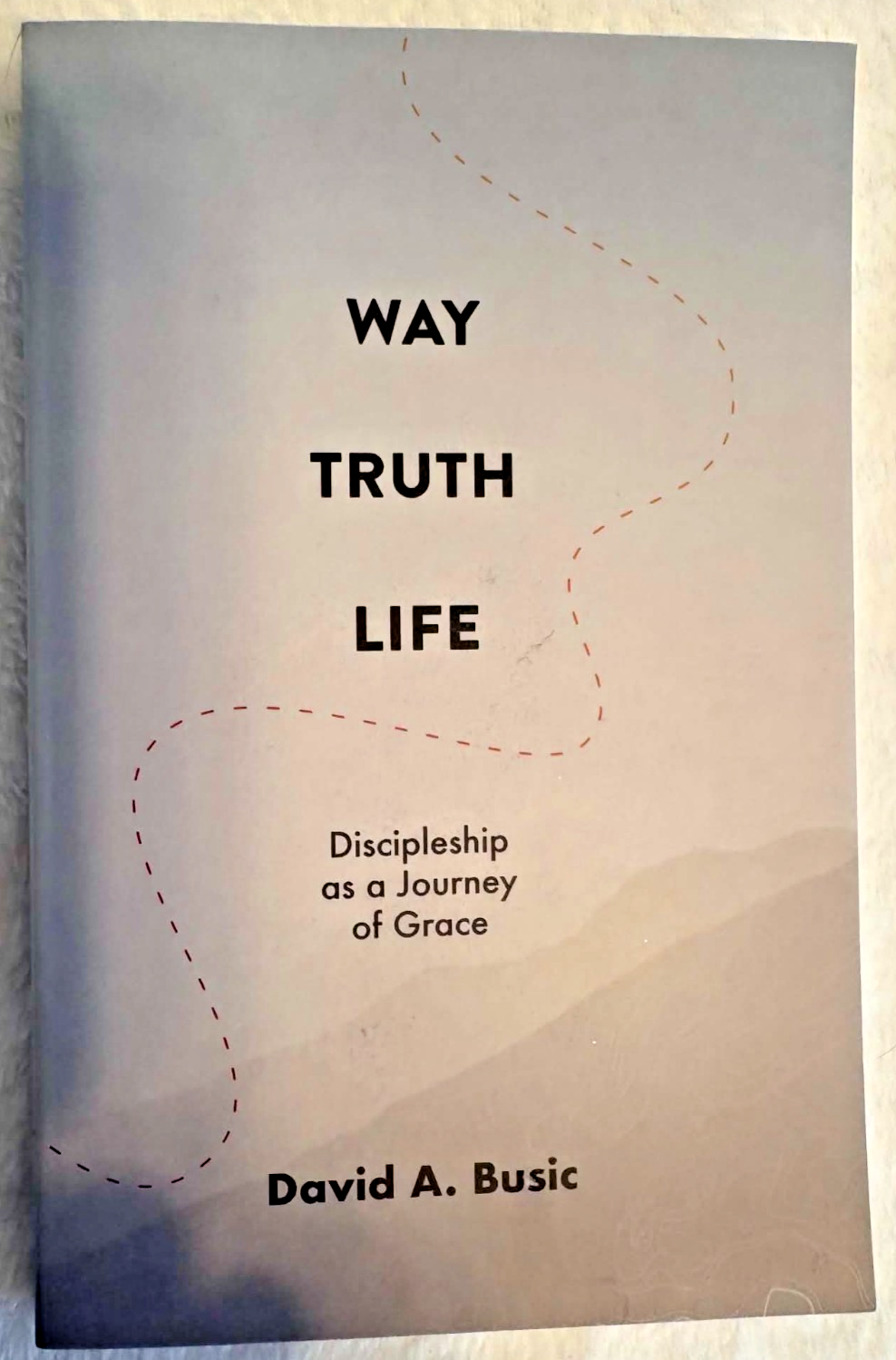 Way, Truth, Life: Discipleship as a Journey of Grace - Paperback - Like New