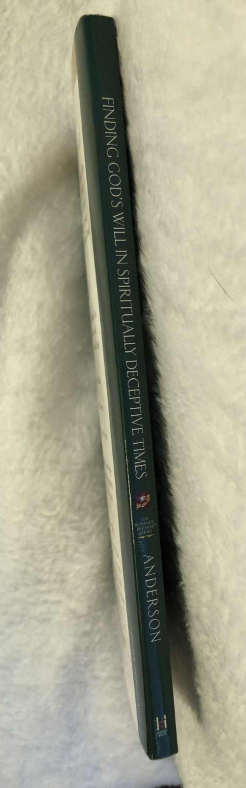 Finding God's Will in Spiritually Deceptive Time - Paperback - Like New