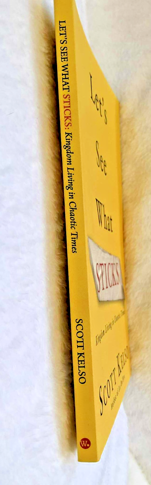 Let's See What Sticks Paperback - Like New